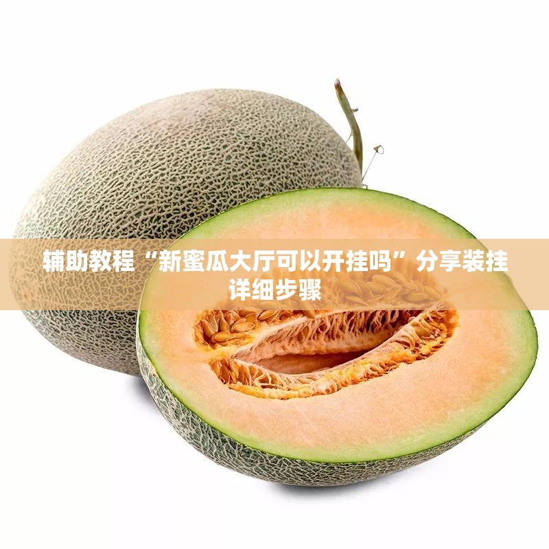 辅助教程“新蜜瓜大厅可以开挂吗”分享装挂详细步骤