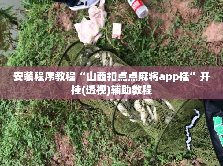 安装程序教程“山西扣点点麻将app挂”开挂(透视)辅助教程