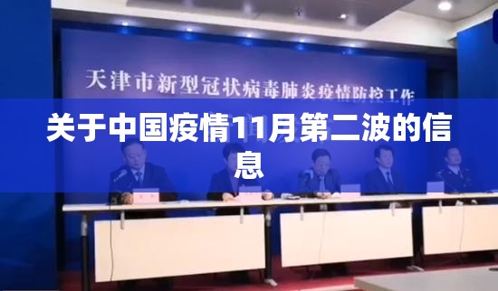 关于中国疫情11月第二波的信息 关于中国疫情11月第二波的信息