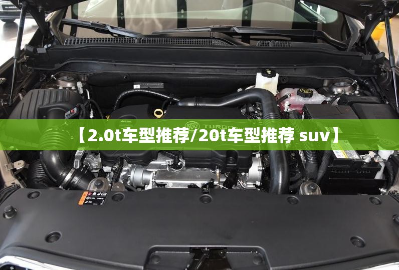 【2.0t车型推荐/20t车型推荐 suv】 【2.0t车型推荐/20t车型推荐 suv】