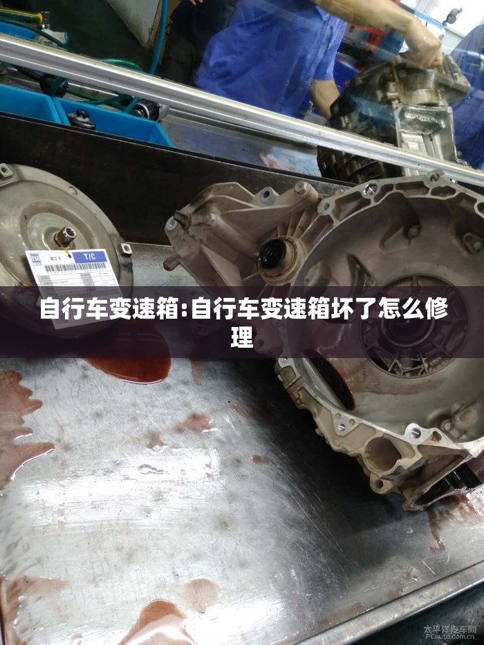 自行车变速箱:自行车变速箱坏了怎么修理 自行车变速箱:自行车变速箱坏了怎么修理