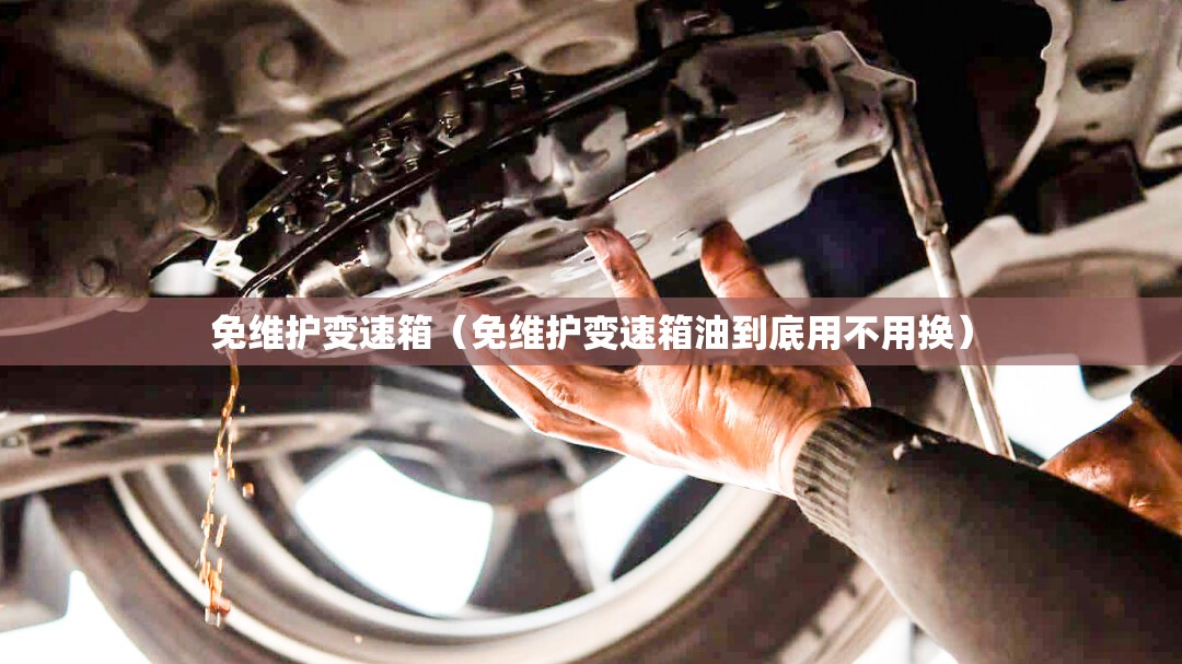 免维护变速箱(免维护变速箱油到底用不用换) 免维护变速箱(免维护变速箱油到底用不用换)