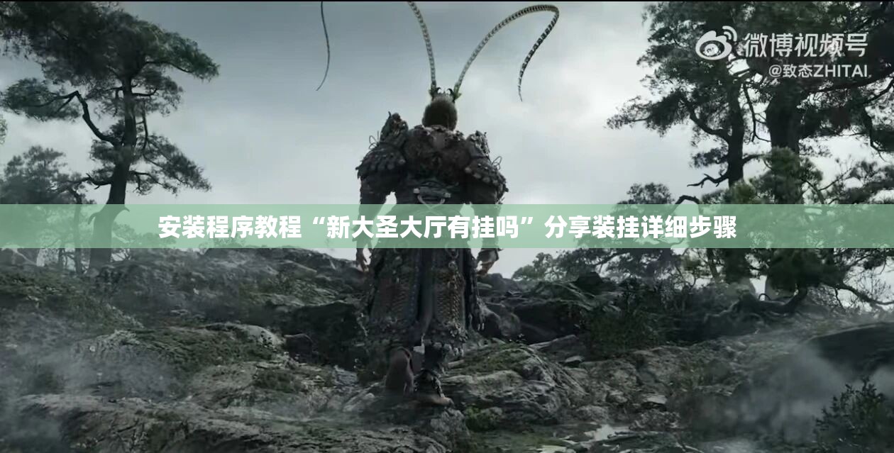 安装程序教程“新大圣大厅有挂吗”分享装挂详细步骤
