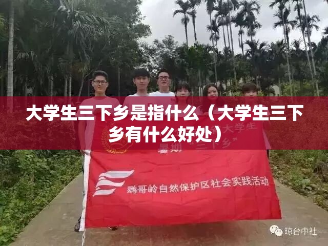 大学生三下乡是指什么(大学生三下乡有什么好处) 大学生三下乡是指什么(大学生三下乡有什么好处)