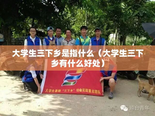 大学生三下乡是指什么(大学生三下乡有什么好处) 大学生三下乡是指什么(大学生三下乡有什么好处)