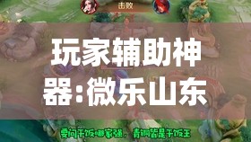 玩家辅助神器:微乐山东麻将有挂吗”开挂(透视)辅助神器