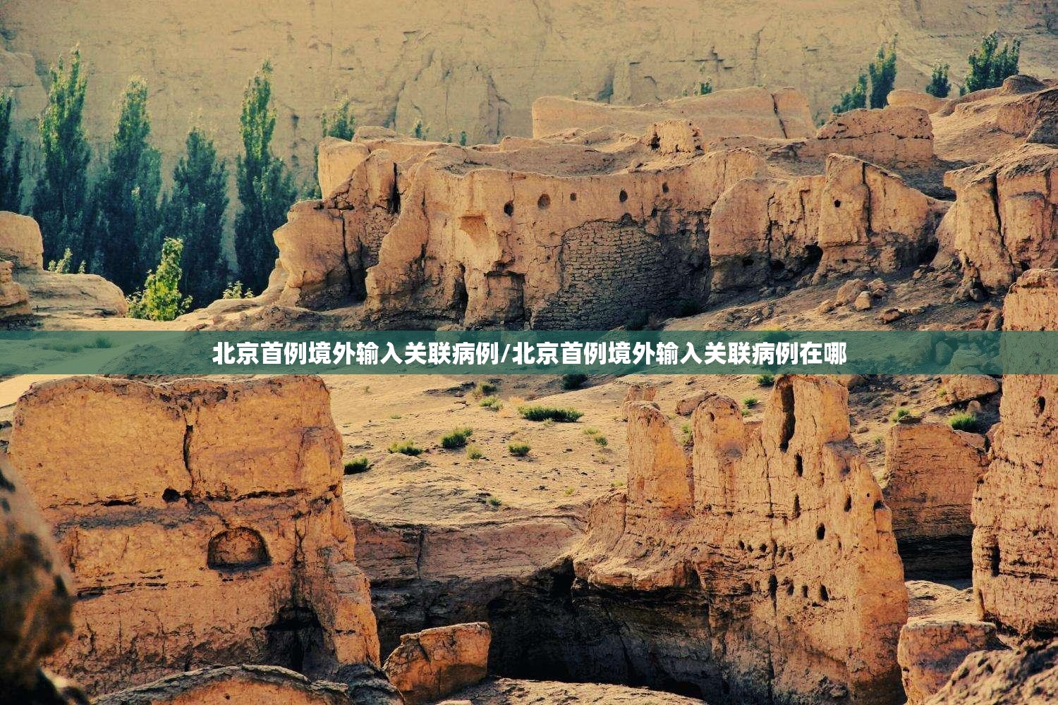北京首例境外输入关联病例/北京首例境外输入关联病例在哪 北京首例境外输入关联病例/北京首例境外输入关联病例在哪