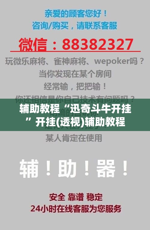 辅助教程“迅奇斗牛开挂”开挂(透视)辅助教程