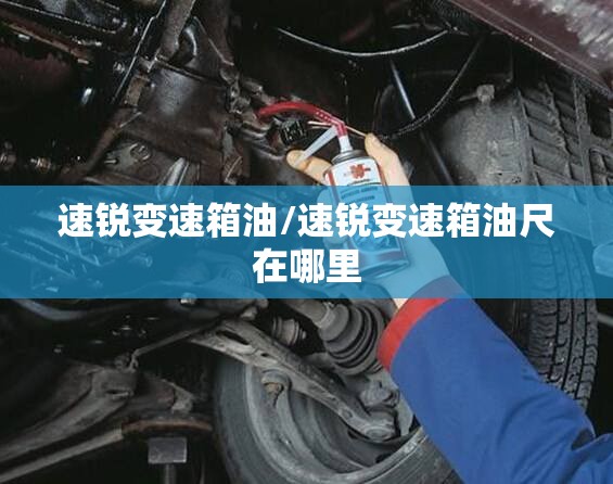 速锐变速箱油/速锐变速箱油尺在哪里 速锐变速箱油/速锐变速箱油尺在哪里