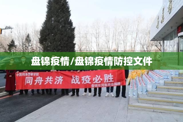 盘锦疫情/盘锦疫情防控文件 盘锦疫情/盘锦疫情防控文件