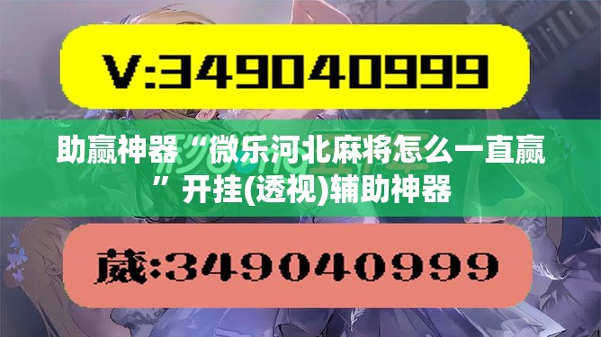 助赢神器“微乐河北麻将怎么一直赢	”开挂(透视)辅助神器