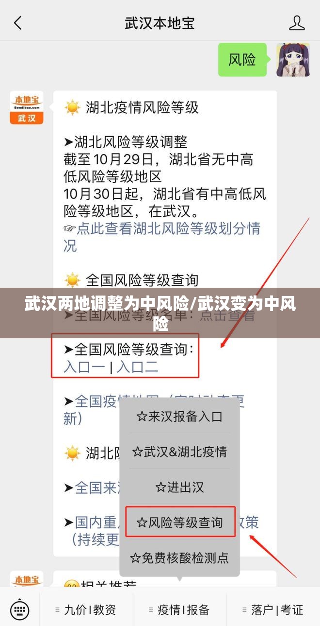 武汉两地调整为中风险/武汉变为中风险 武汉两地调整为中风险/武汉变为中风险