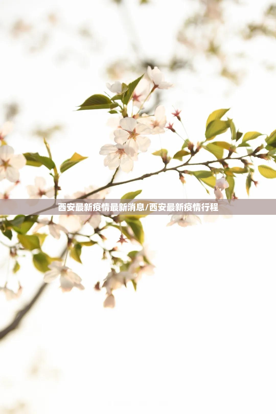 西安最新疫情最新消息/西安最新疫情行程