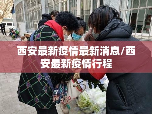 西安最新疫情最新消息/西安最新疫情行程