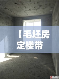 【毛坯房定楼带阁楼,毛坯阁楼图片】