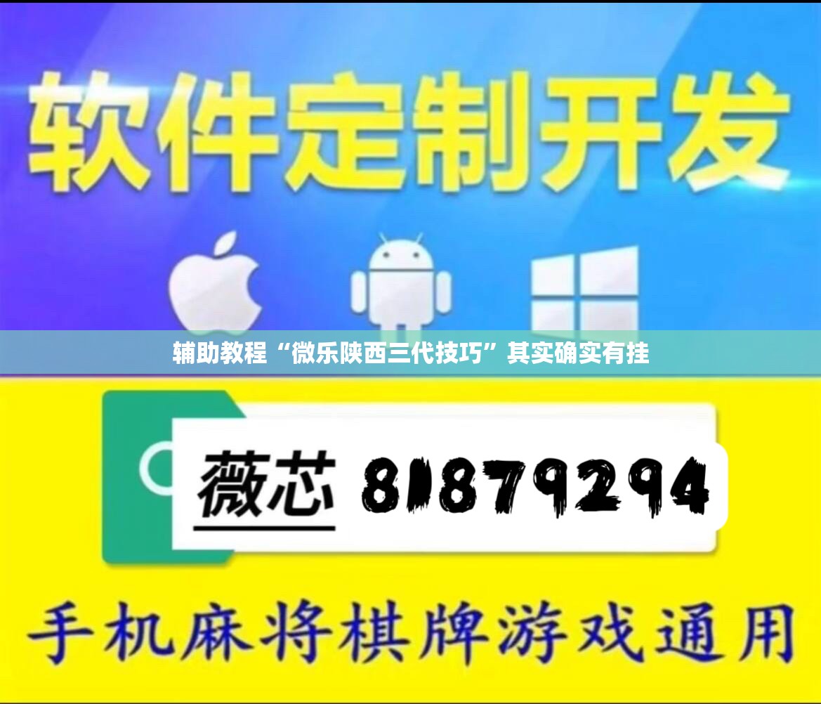 辅助教程“微乐陕西三代技巧”其实确实有挂