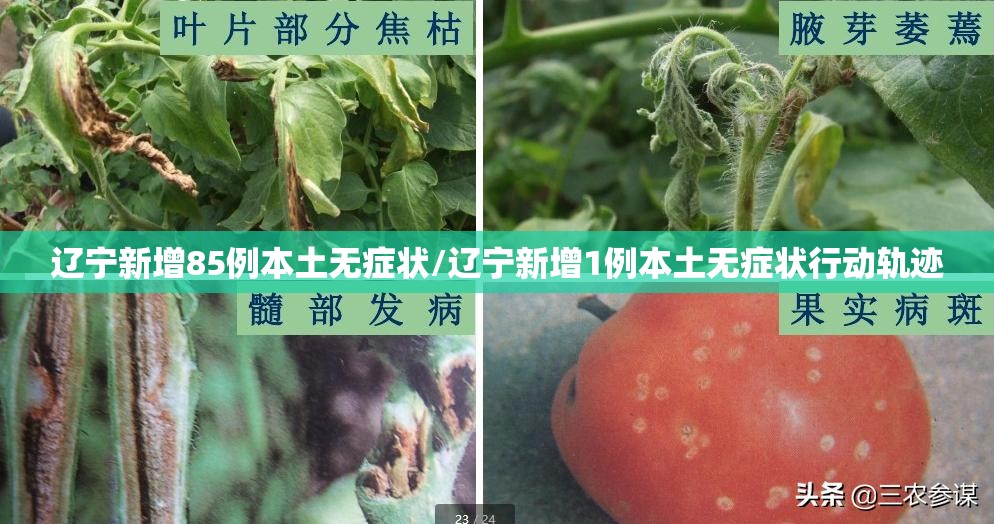 辽宁新增85例本土无症状/辽宁新增1例本土无症状行动轨迹 辽宁新增85例本土无症状/辽宁新增1例本土无症状行动轨迹