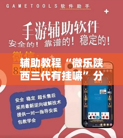辅助教程“微乐陕西三代有挂嘛”分享装挂详细步骤