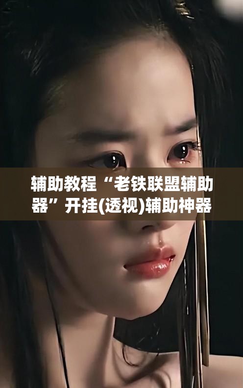 辅助教程“老铁联盟辅助器”开挂(透视)辅助神器
