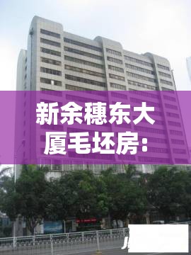 新余穗东大厦毛坯房:新余市穗东大厦