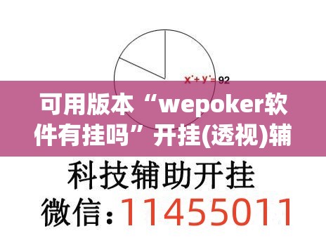 可用版本“wepoker软件有挂吗	”开挂(透视)辅助神器