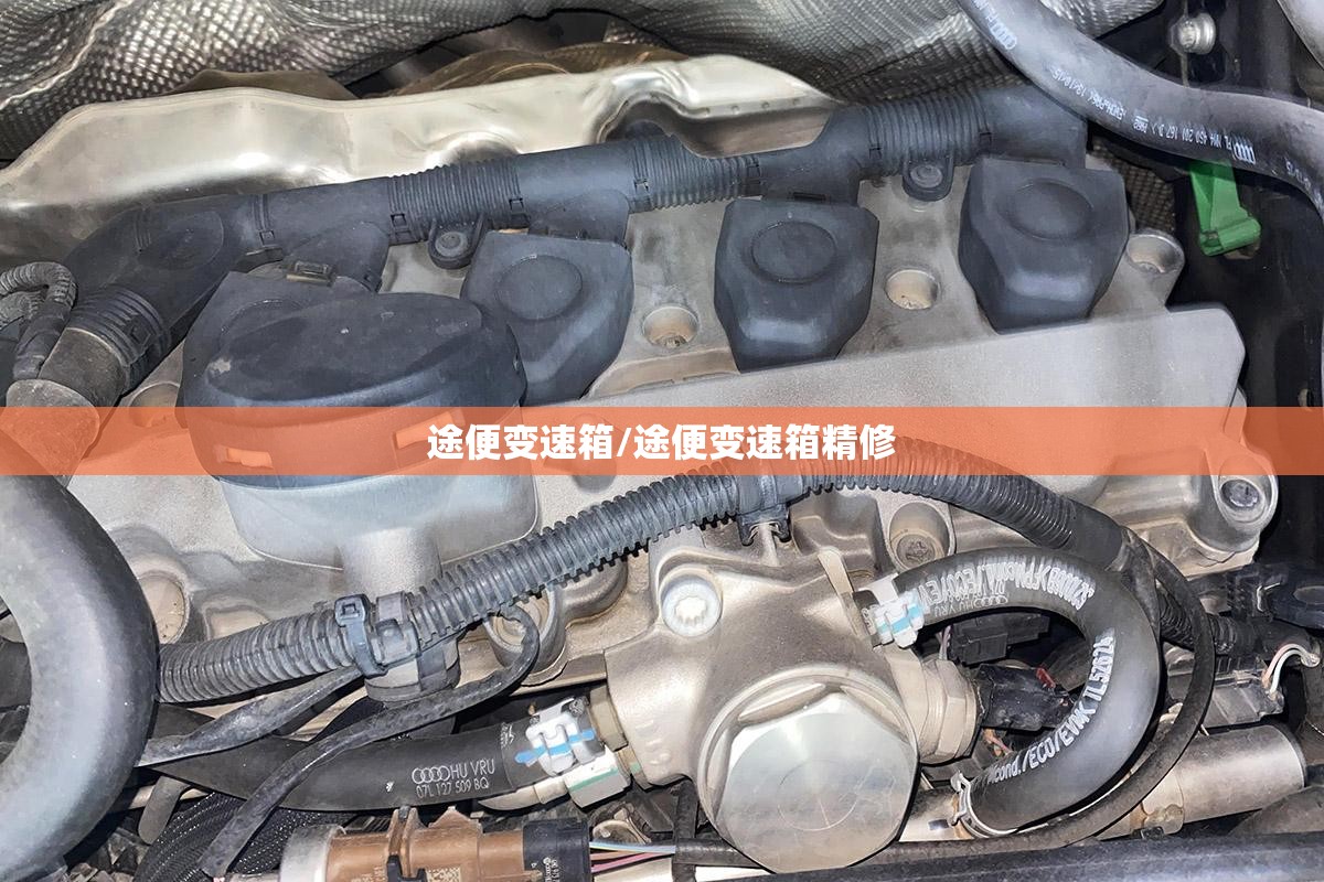 途便变速箱/途便变速箱精修