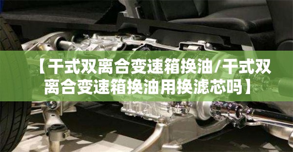 【干式双离合变速箱换油/干式双离合变速箱换油用换滤芯吗】