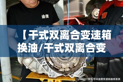 【干式双离合变速箱换油/干式双离合变速箱换油用换滤芯吗】