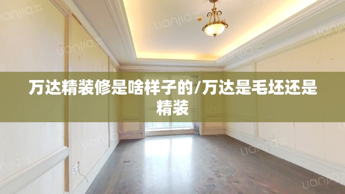 万达精装修是啥样子的/万达是毛坯还是精装