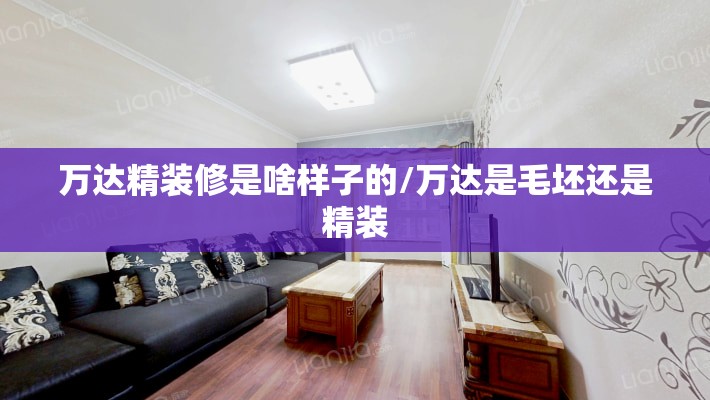 万达精装修是啥样子的/万达是毛坯还是精装