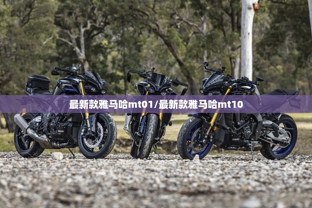 最新款雅马哈mt01/最新款雅马哈mt10