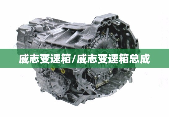 威志变速箱/威志变速箱总成