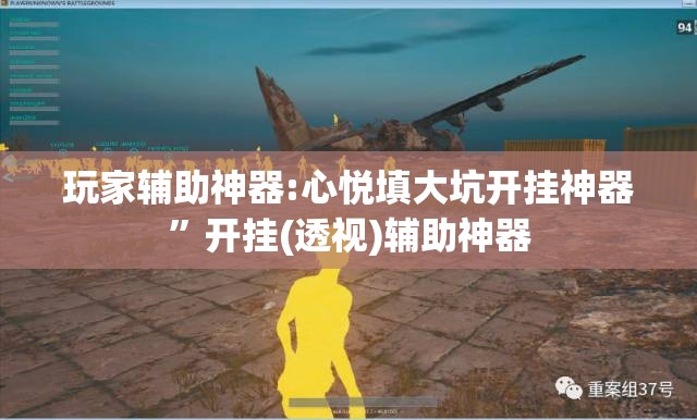 玩家辅助神器:心悦填大坑开挂神器	”开挂(透视)辅助神器