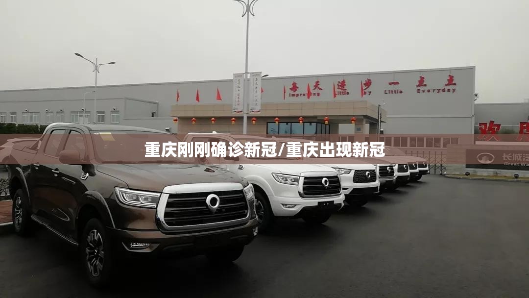 重庆刚刚确诊新冠/重庆出现新冠
