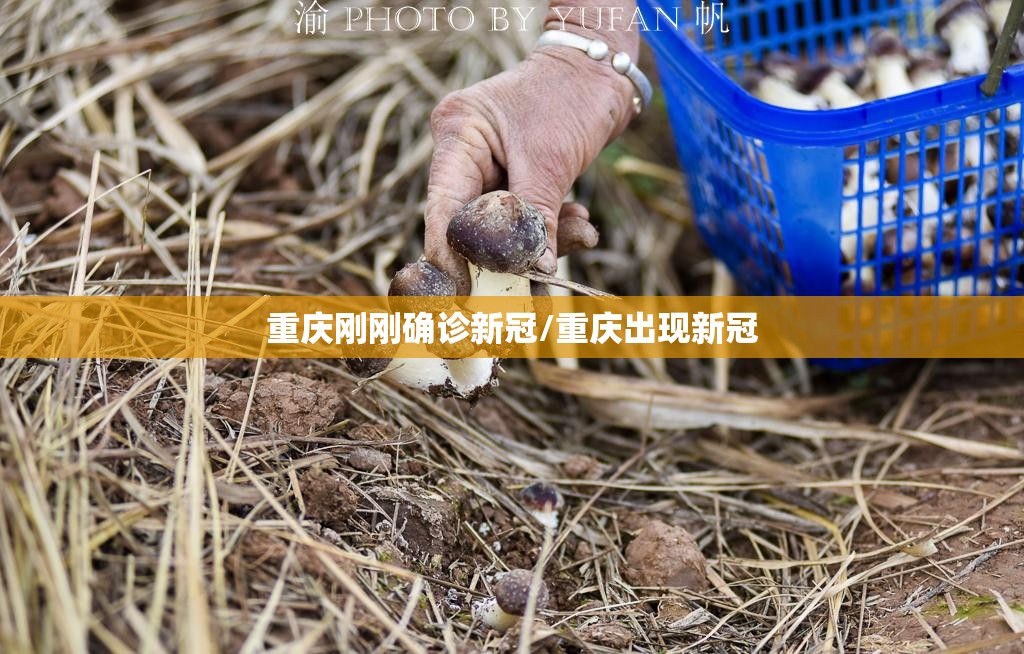 重庆刚刚确诊新冠/重庆出现新冠