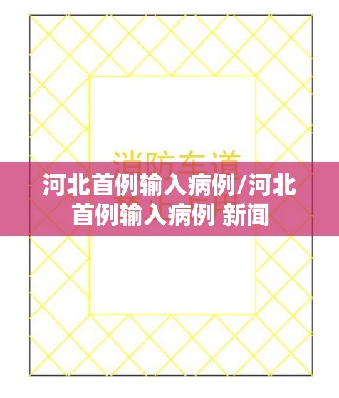 河北首例输入病例/河北首例输入病例 新闻 河北首例输入病例/河北首例输入病例 新闻