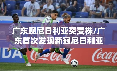广东现尼日利亚突变株/广东首次发现新冠尼日利亚突变株