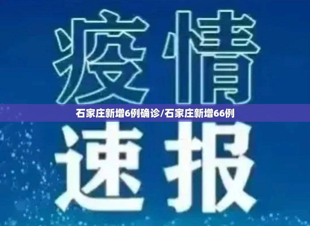 石家庄新增6例确诊/石家庄新增66例
