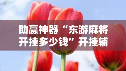 助赢神器“东游麻将开挂多少钱	”开挂辅助脚本+详细开挂安装教程