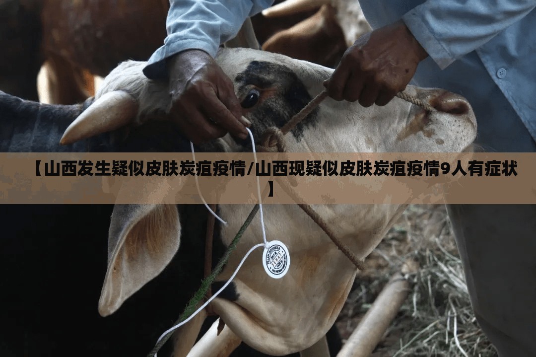 【山西发生疑似皮肤炭疽疫情/山西现疑似皮肤炭疽疫情9人有症状】 【山西发生疑似皮肤炭疽疫情/山西现疑似皮肤炭疽疫情9人有症状】