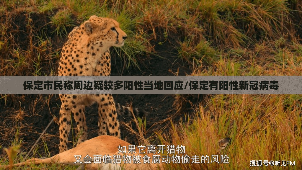 保定市民称周边疑较多阳性当地回应/保定有阳性新冠病毒 保定市民称周边疑较多阳性当地回应/保定有阳性新冠病毒