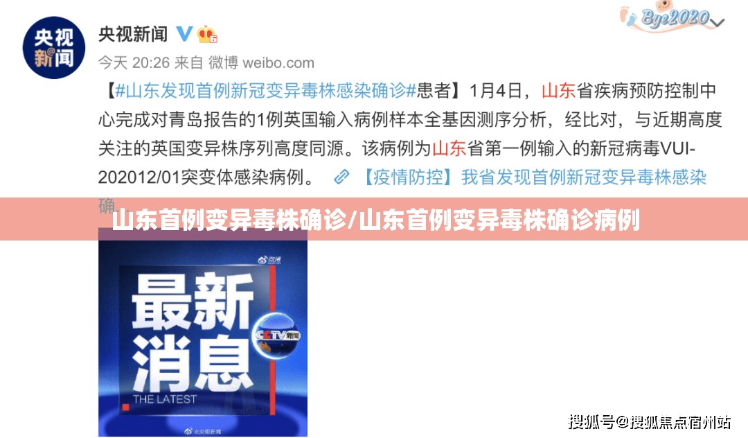 山东首例变异毒株确诊/山东首例变异毒株确诊病例