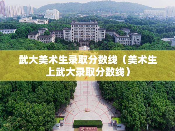 武大美术生录取分数线(美术生上武大录取分数线) 武大美术生录取分数线(美术生上武大录取分数线)