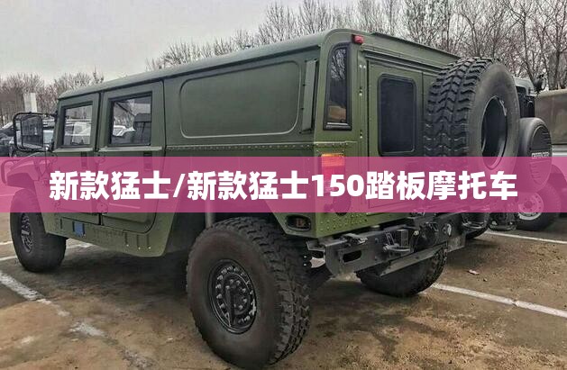新款猛士/新款猛士150踏板摩托车
