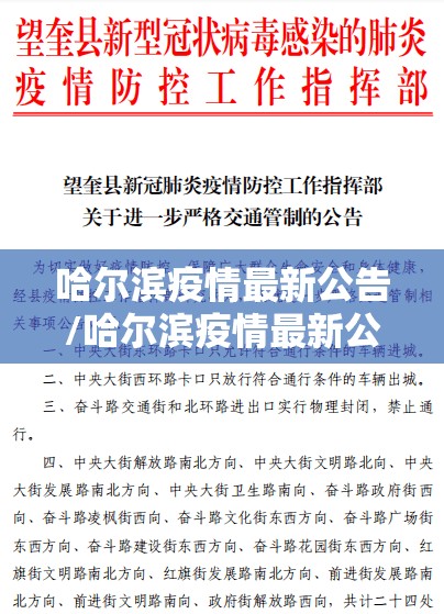 哈尔滨疫情最新公告/哈尔滨疫情最新公告消息