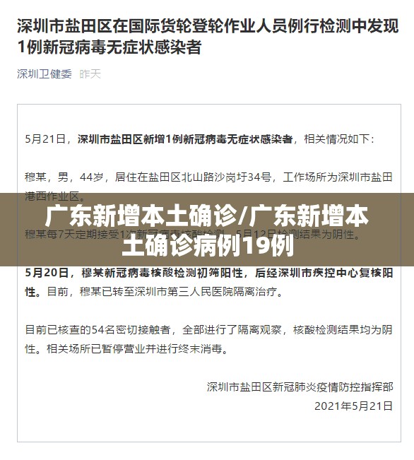 广东新增本土确诊/广东新增本土确诊病例19例