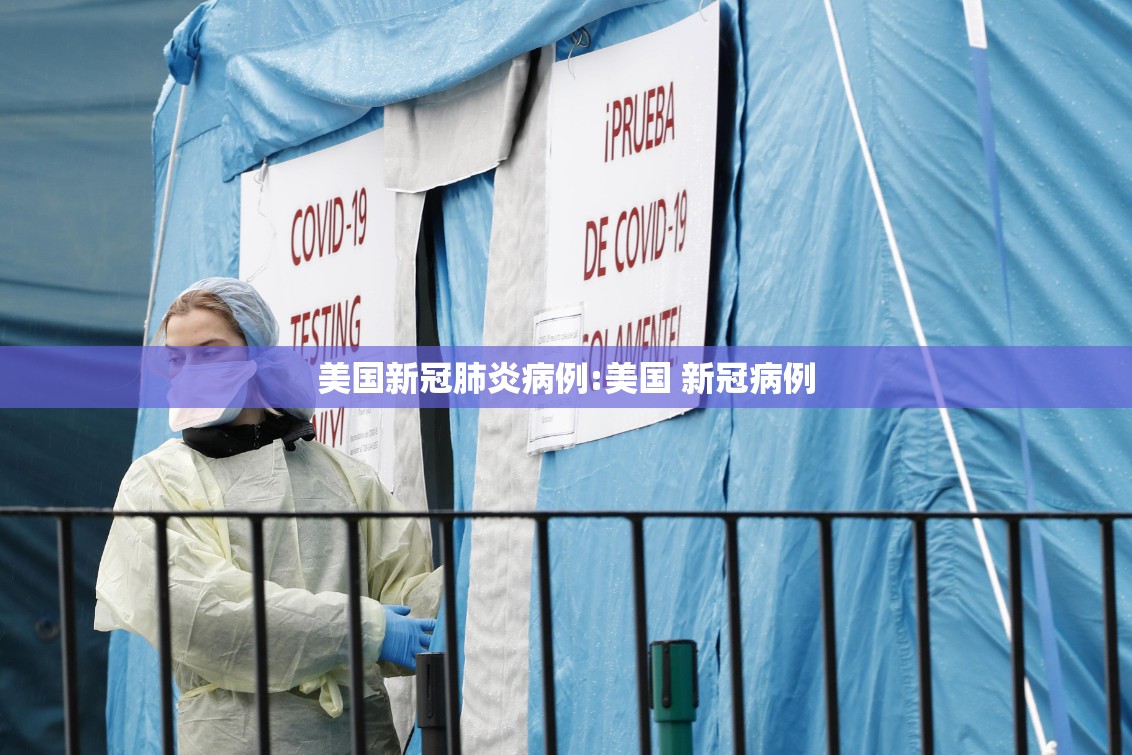 美国新冠肺炎病例:美国 新冠病例