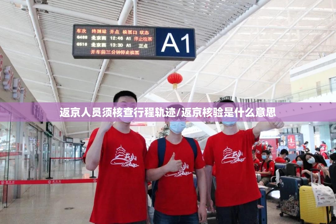 返京人员须核查行程轨迹/返京核验是什么意思 返京人员须核查行程轨迹/返京核验是什么意思
