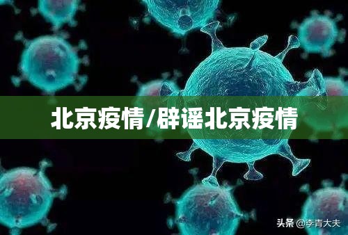 北京疫情/辟谣北京疫情 北京疫情/辟谣北京疫情