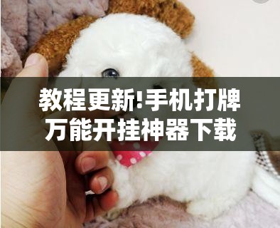 教程更新!手机打牌万能开挂神器下载”开挂辅助脚本+详细开挂安装教程